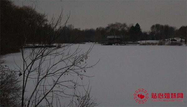 Toogood Pond雪景（之一）：静谧