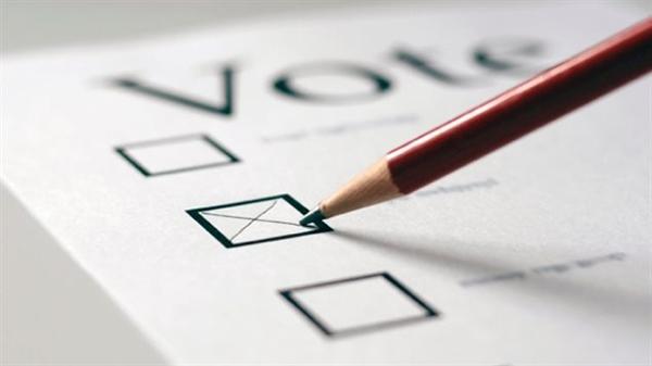 加拿大大选：如何提高投票率？