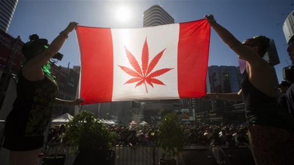 加拿大将于明年春天引入大麻法