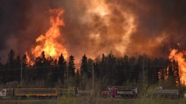 麦克默里堡林火灾难（17）经济学家：麦克默里堡林火将拖累加拿大经济
