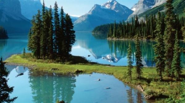 加拿大国家公园今年全免费，环保人士担心生态环境