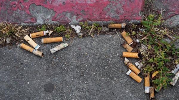 世卫：烟草对环境造成 “巨大危害”