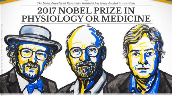 诺贝尔医学奖今日公布：三位美国科学家因研究人体生物钟的运作获奖